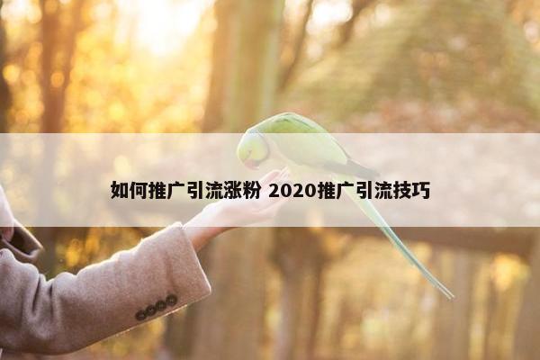 如何推广引流涨粉 2020推广引流技巧