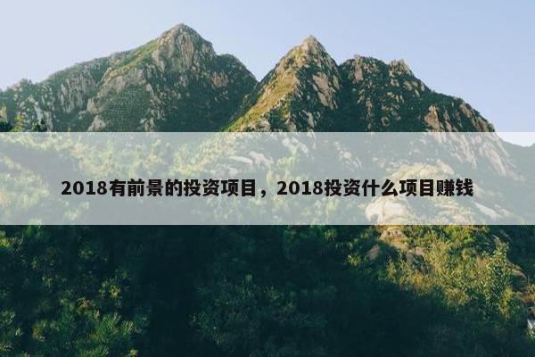 2018有前景的投资项目，2018投资什么项目赚钱