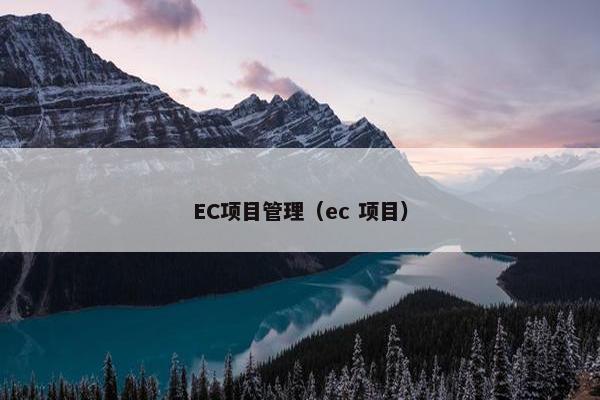 EC项目管理（ec 项目）