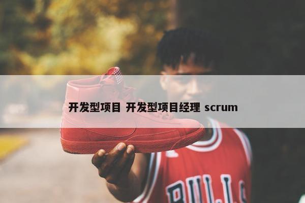 开发型项目 开发型项目经理 scrum