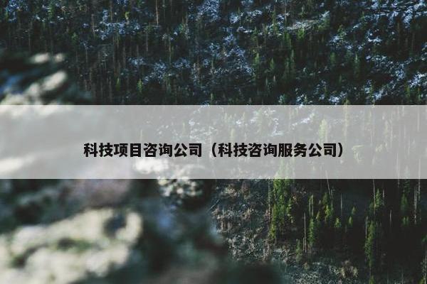 科技项目咨询公司（科技咨询服务公司）