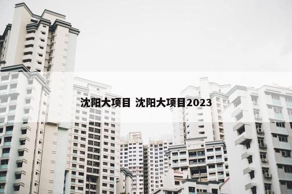 沈阳大项目 沈阳大项目2023