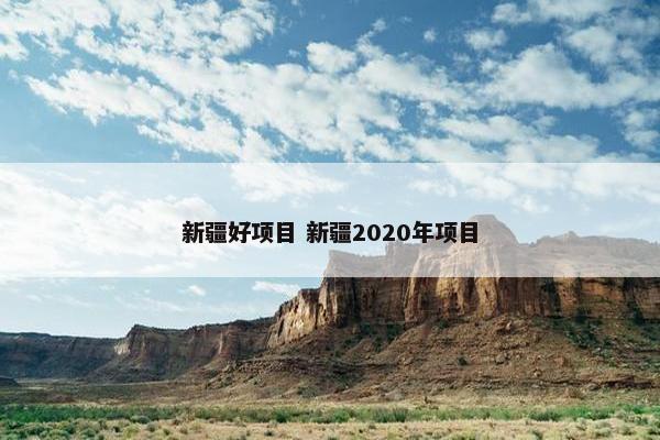 新疆好项目 新疆2020年项目