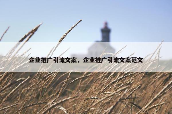 企业推广引流文案，企业推广引流文案范文