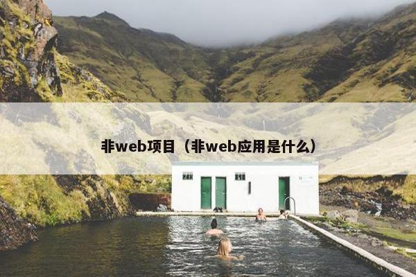 非web项目（非web应用是什么）