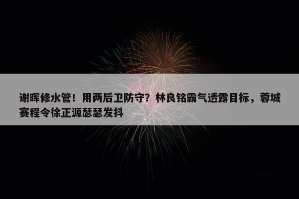 谢晖修水管！用两后卫防守？林良铭霸气透露目标，蓉城赛程令徐正源瑟瑟发抖