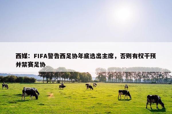 西媒：FIFA警告西足协年底选出主席，否则有权干预并禁赛足协