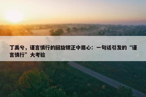 丁禹兮，谨言慎行的回旋镖正中眉心：一句话引发的“谨言慎行”大考验