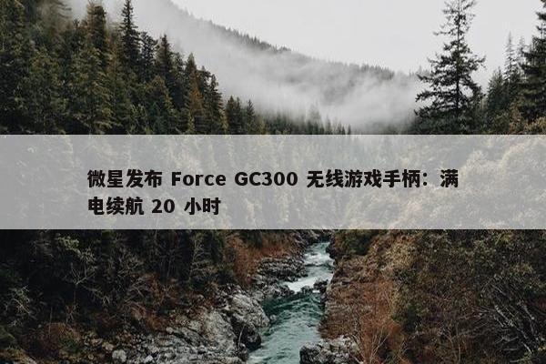 微星发布 Force GC300 无线游戏手柄：满电续航 20 小时