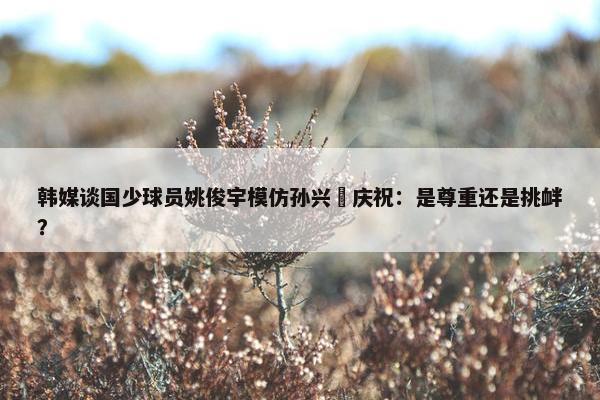 韩媒谈国少球员姚俊宇模仿孙兴慜庆祝：是尊重还是挑衅？